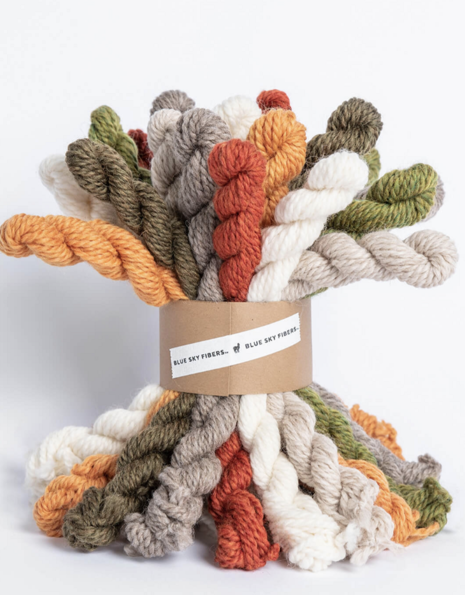 Blue Sky Fibers Woolstok Bundle Kit