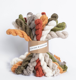 Blue Sky Fibers Woolstok Bundle Kit