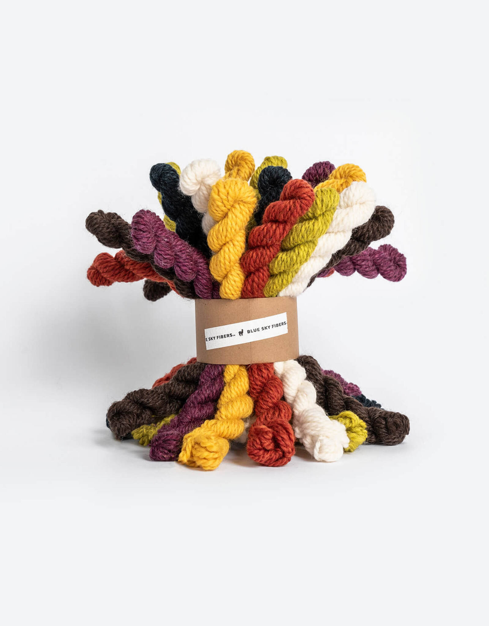 Blue Sky Fibers Woolstok Bundle Kit