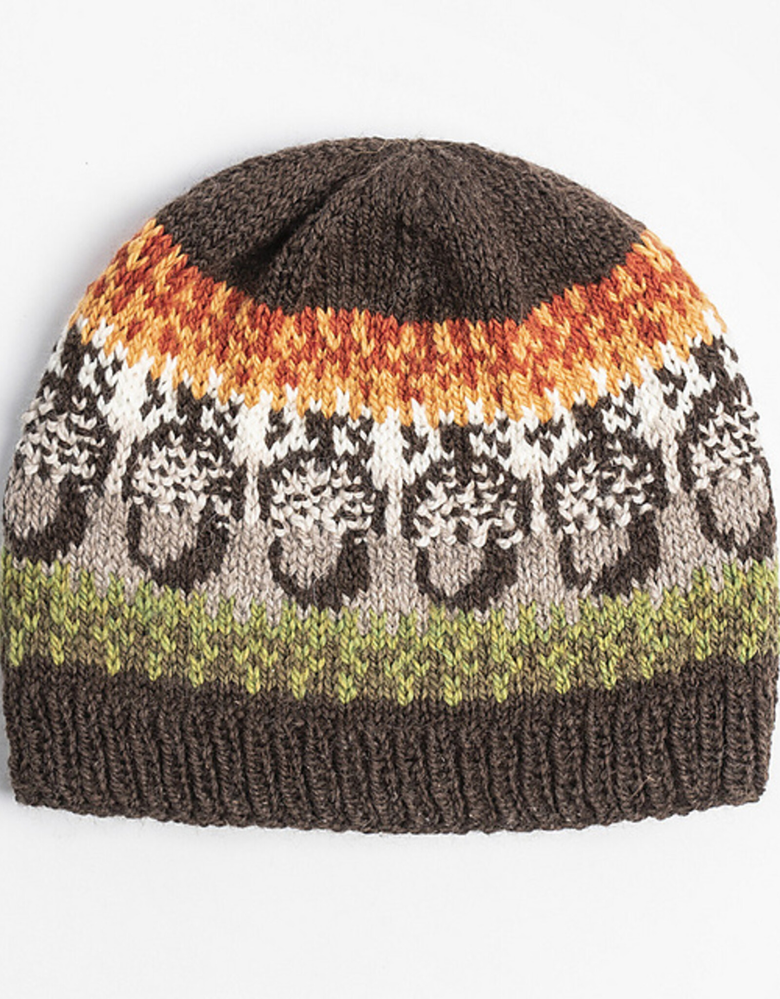 Blue Sky Fibers Woolstok Bundle Kit