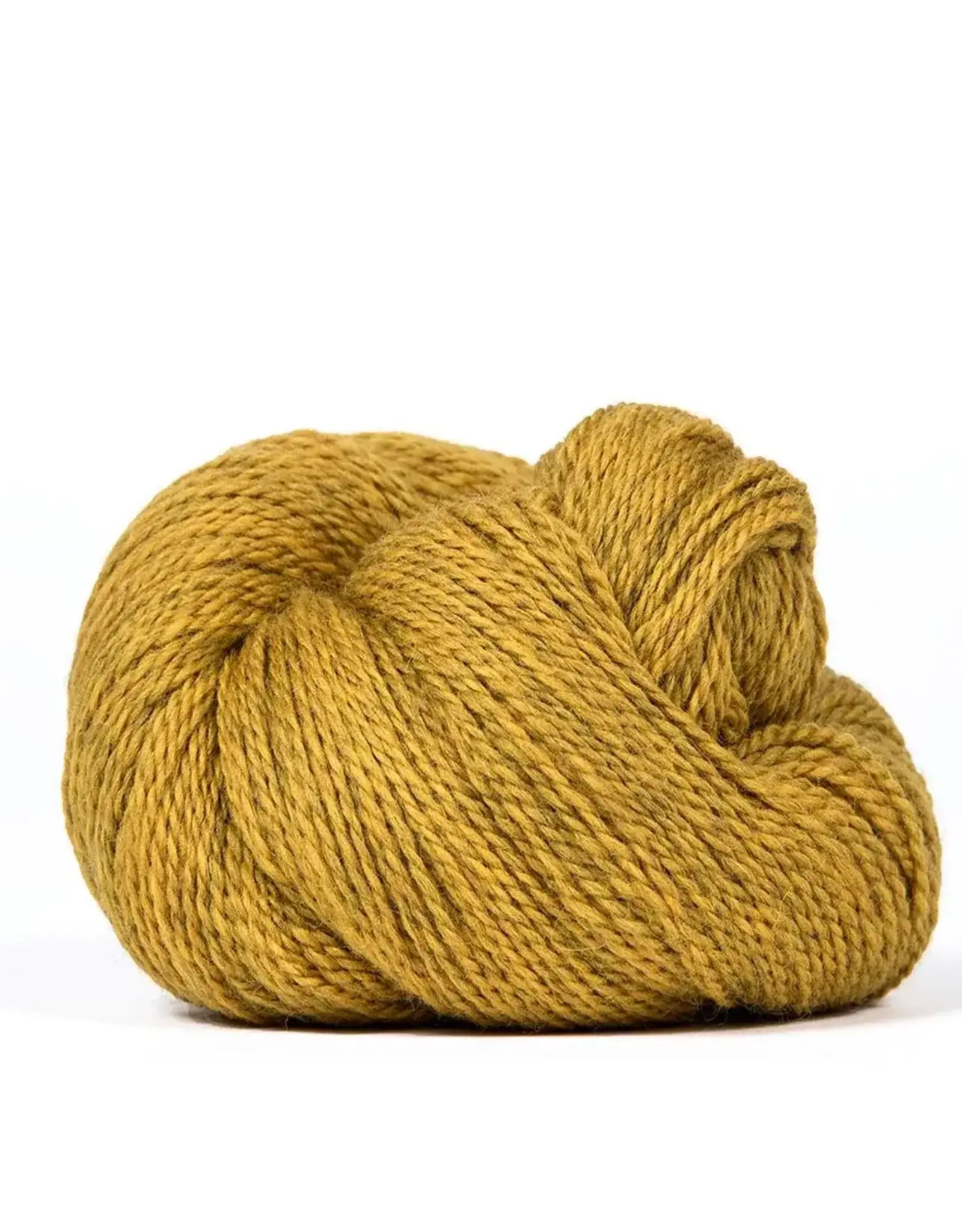 Kelbourne Woolens Scout by Kelbourne Woolens