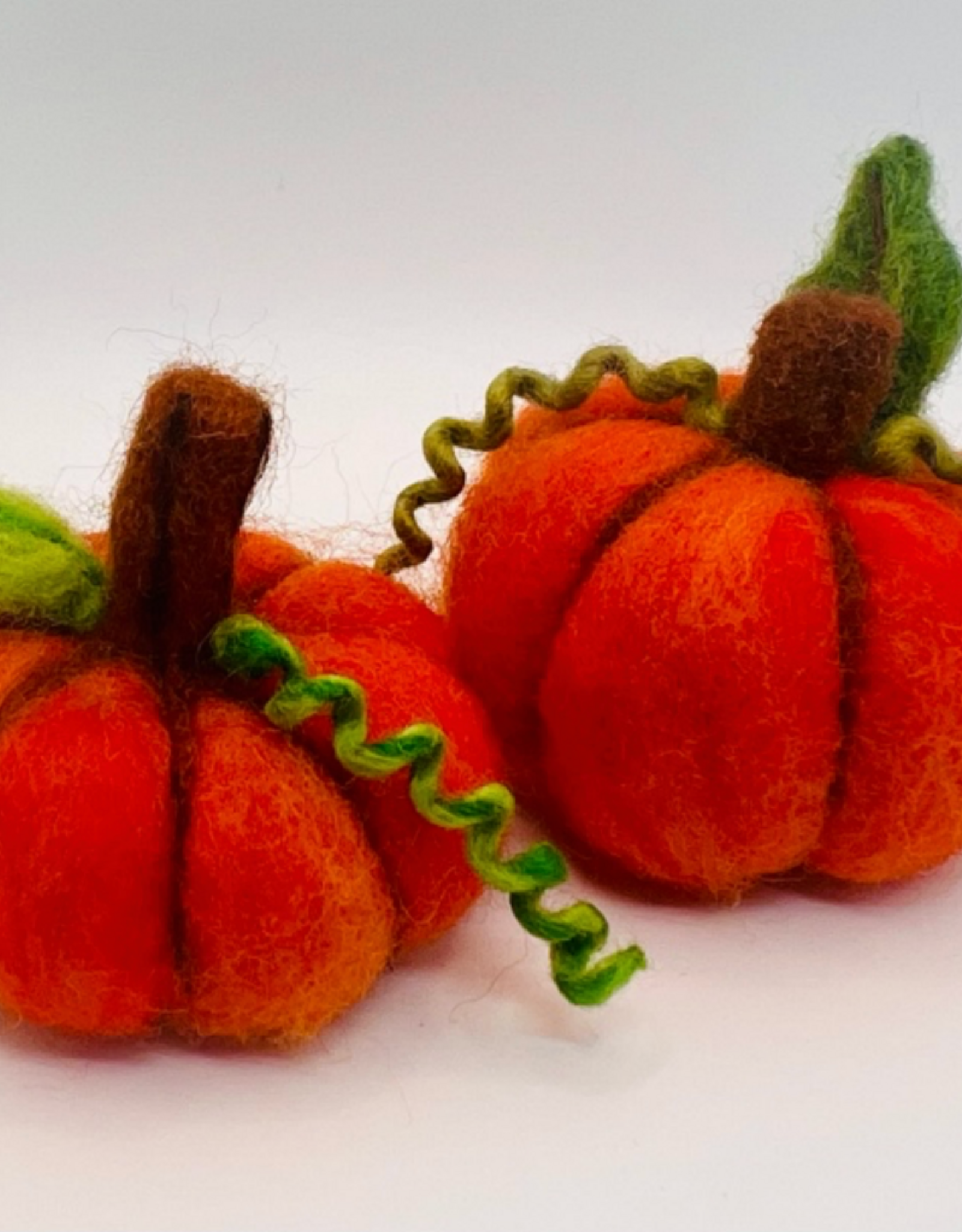 Tracy Kadonaga Needle Felting: Pumpkin-Palooza! - Monday, November 2, 3:30-5:30pm