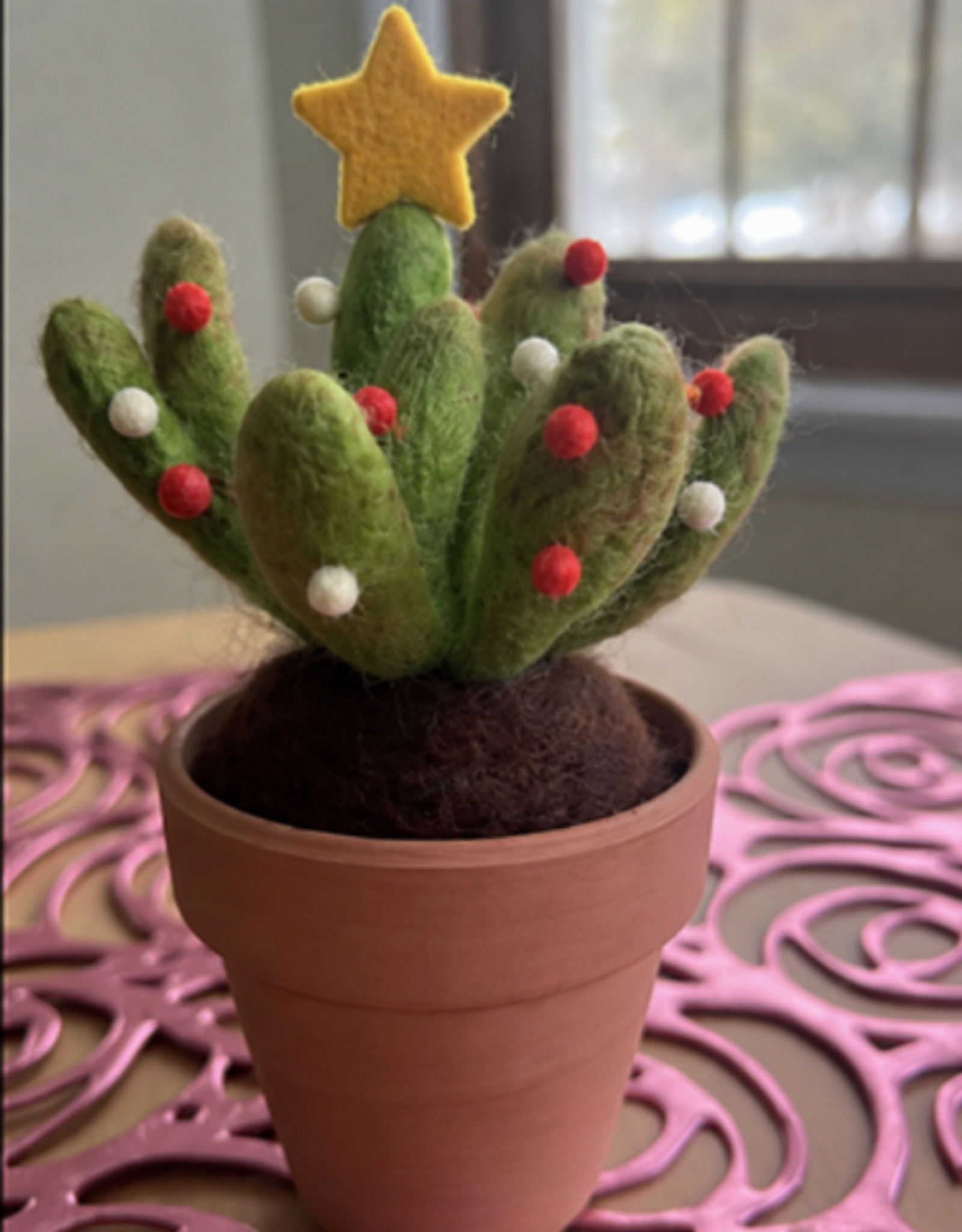 Tracy Kadonaga Needle Felting: Christmas Cactus - Monday, December 14, 3:30-5:30pm