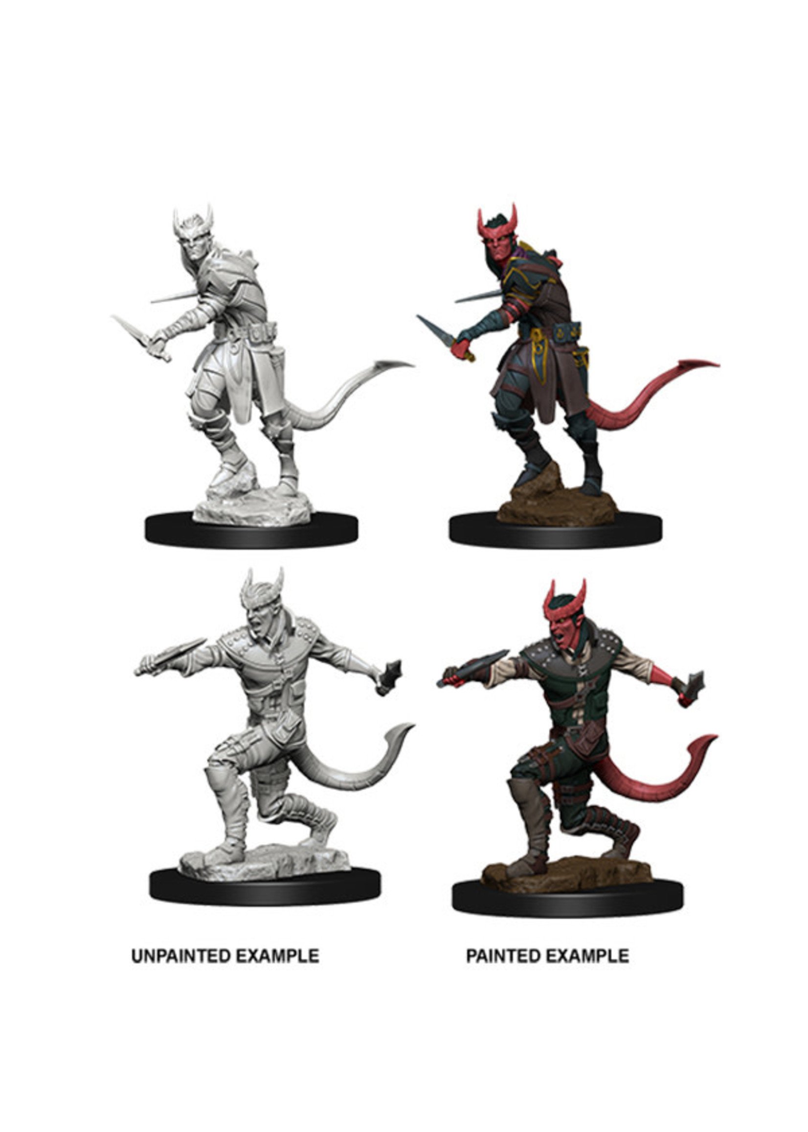 WizK!ds Wave 5 Tiefling Male Rogue