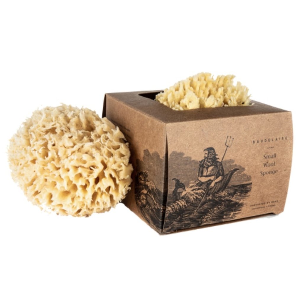 Baudelaire Bath Sea Sponge Gift Box - Small 4.5"