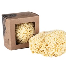 Baudelaire Bath Sea Sponge Gift Box - Large 5.5"