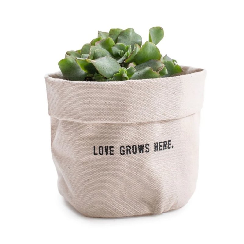 Sugarboo Love Grows Here - Small Canvas Planter