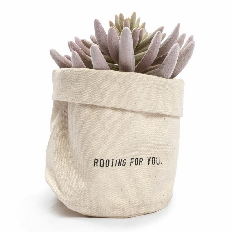 Sugarboo Rooting For You Small Canvas Planter