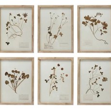 Framed Wall Decor with Botanicals, 6 Styles