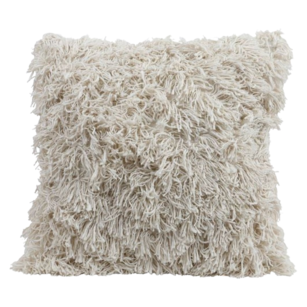 Fringe Cotton & Rayon Pillow