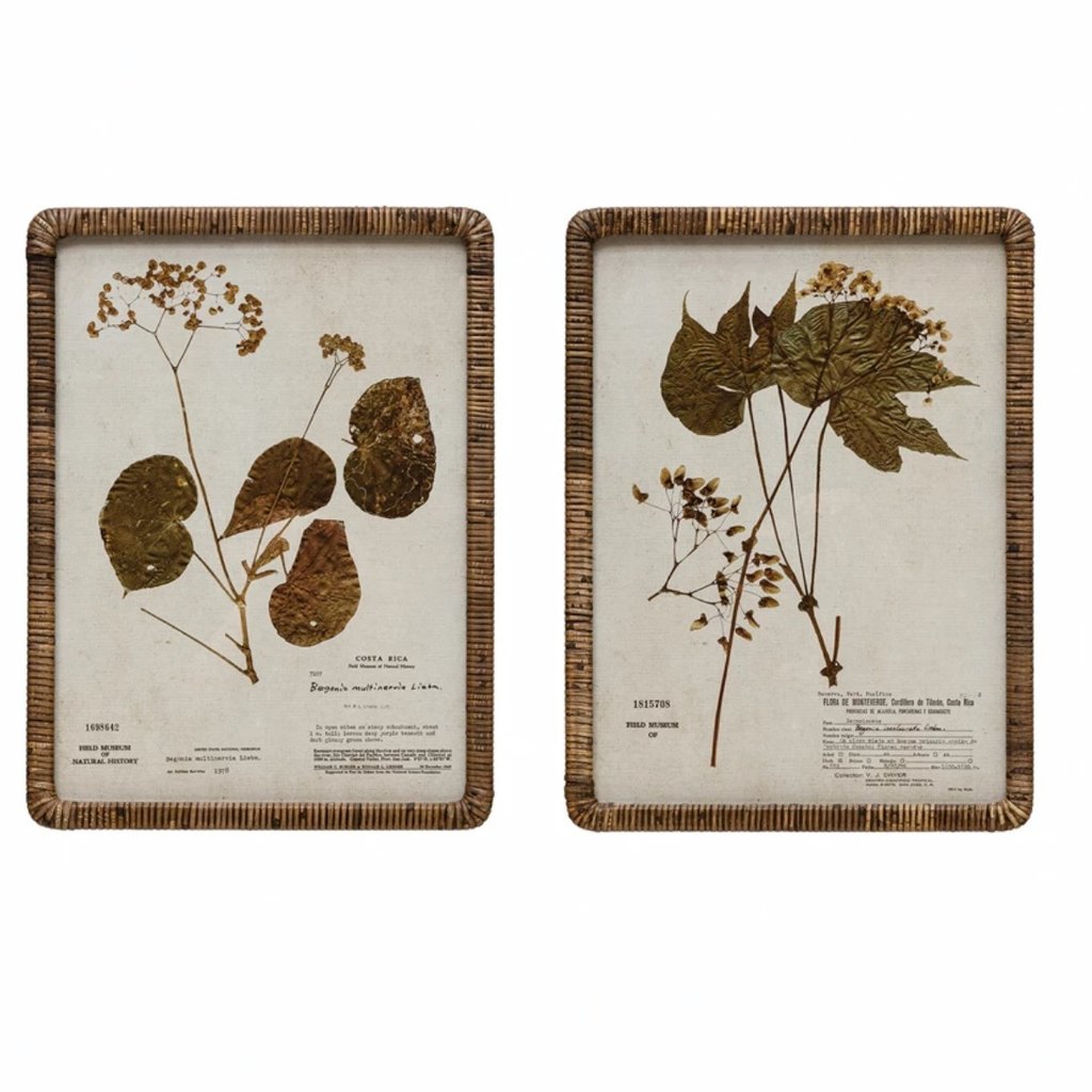 Rattan Wrapped Wood Framed Glass Wall Décor with Botanical Print
