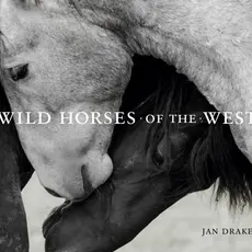 Gibbs Smith Wild Horses of the West Photography Coffee Table Book