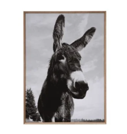 Framed Canvas Wall Décor with Donkey Photography