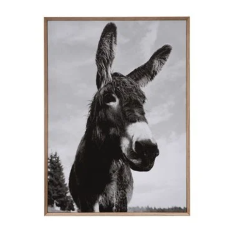Framed Canvas Wall Décor with Donkey Photography