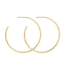 Temple Of The Sun Simple Hoop Earrings Hammered Gold Vermeil