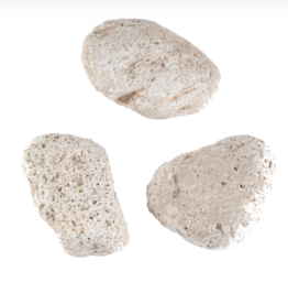 Baudelaire Pumice Stone
