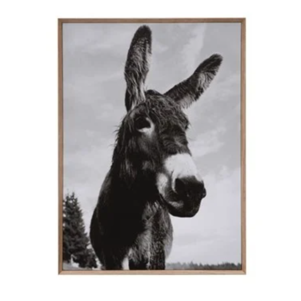 MDF Framed Canvas Wall Décor with Donkey Photography