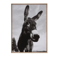 MDF Framed Canvas Wall Décor with Donkey Photography