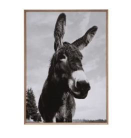 MDF Framed Canvas Wall Décor with Donkey Photography