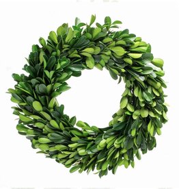 MILLS FLORAL COMPANY Preserved Boxwood Wreath - Round with Ribbon - 8"