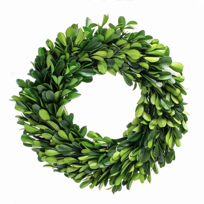 MILLS FLORAL COMPANY Preserved Boxwood Wreath - Round with Ribbon - 8"