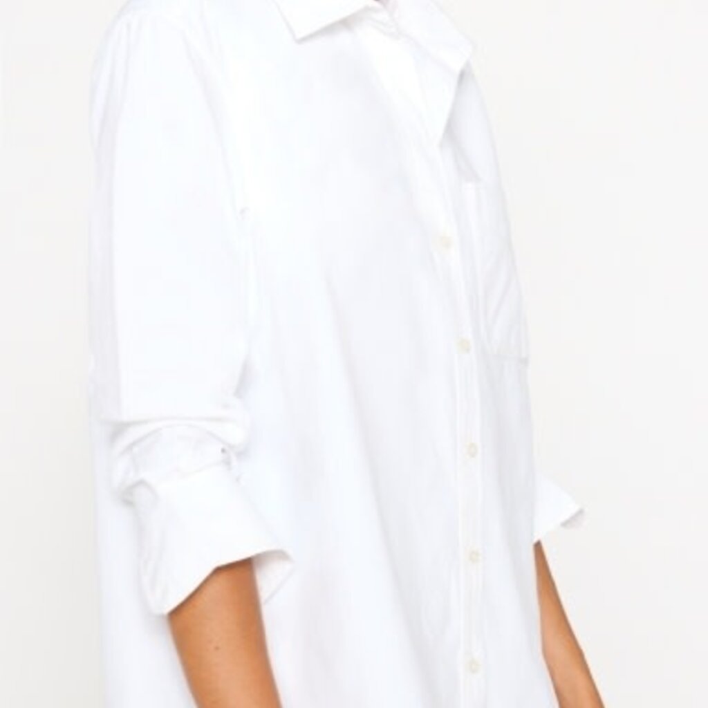 Brochu Walker EVERYDAY SHIRT