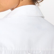 Brochu Walker EVERYDAY SHIRT