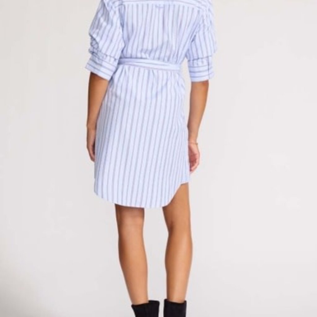 Brochu Walker PIA DRESS