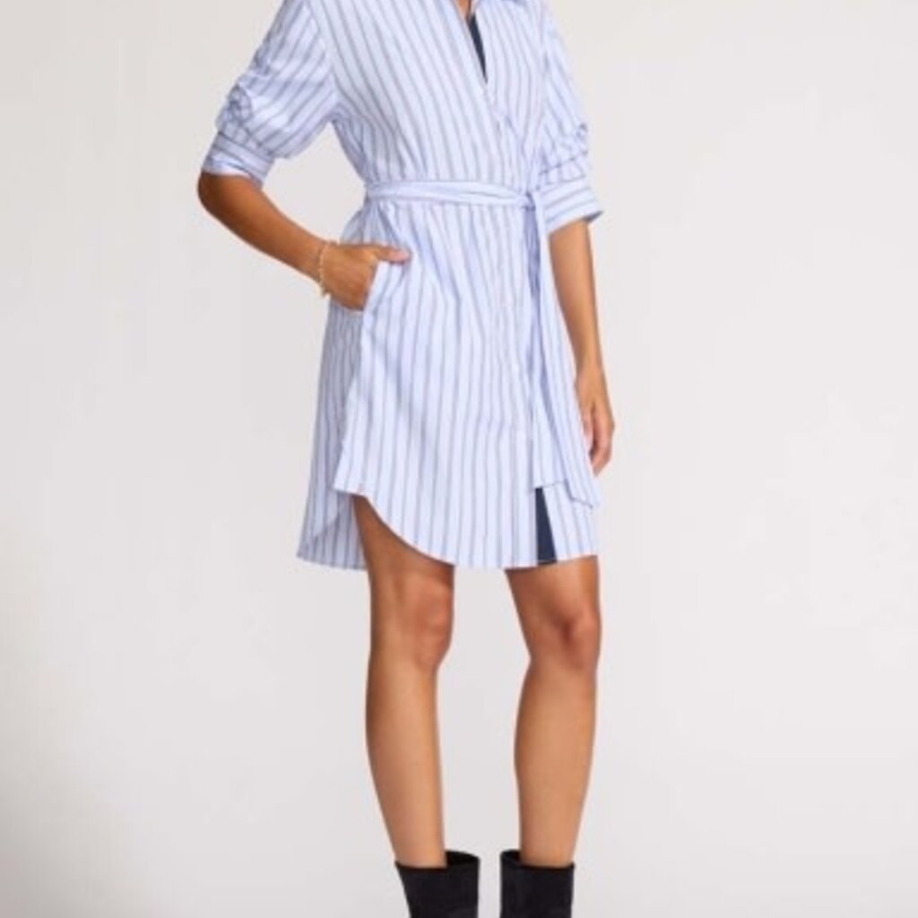 Brochu Walker PIA DRESS