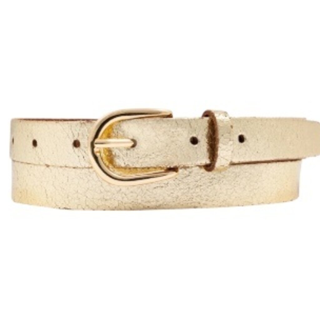 Eva 490 Gold   Women's Metallic Leather Belt