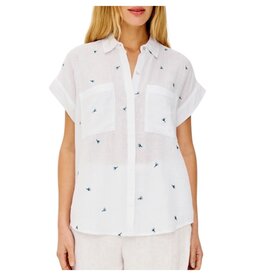 Rails CITO - BLUEBELL CARNATIONS