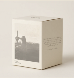 CICADA No. 05 Candle 16 oz