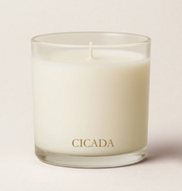 CICADA No. 04 16oz Candle - Hidden Canyons