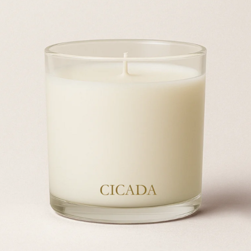 CICADA No. 04 16oz Candle - Hidden Canyons