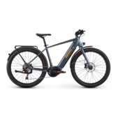 Diamondback Union 2