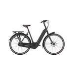 GAZELLE BIKES GAZELLE ARROYO C8 HMB ELITE L53 Black S8