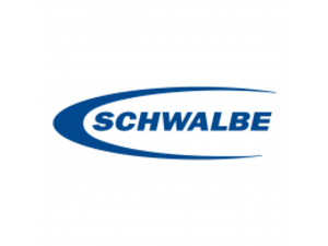 SCHWALBE