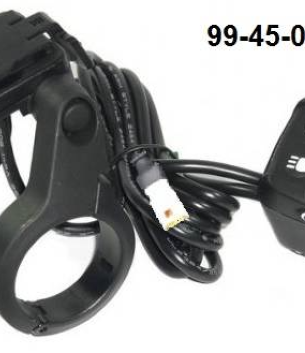 YAMAHA Yamaha Side Mount Display Holder and Remote (99-45-0203)