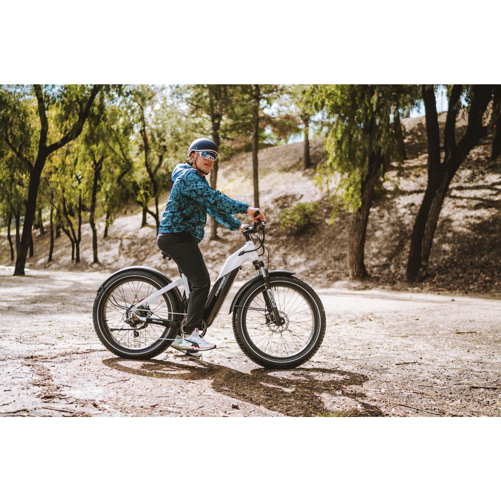 Denago Denago Fat Tire Step-thru eBike