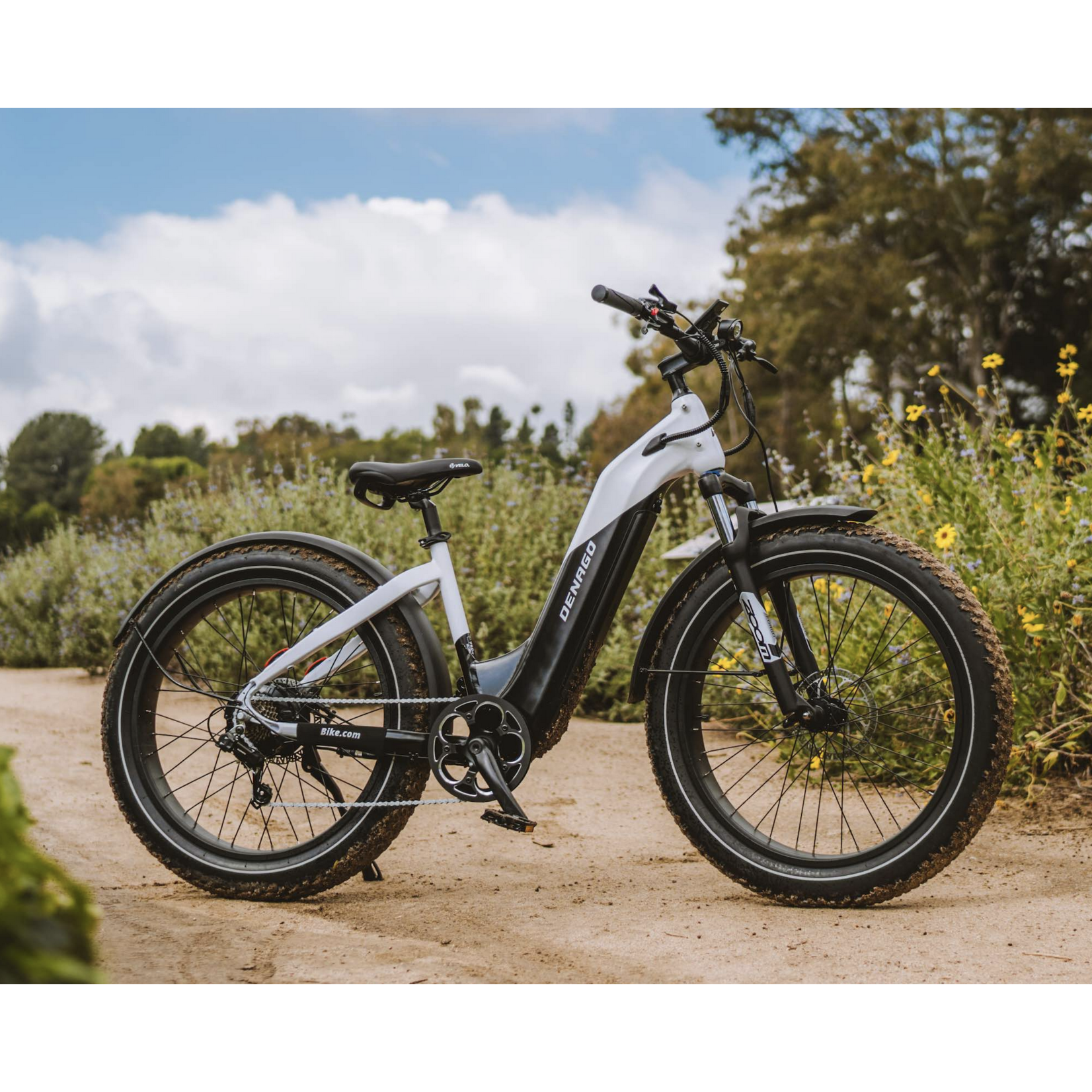 Denago Denago Fat Tire Step-thru eBike