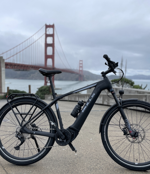 BULLS BULLS - ICONIC EVO 2 SPEED HARDTAIL