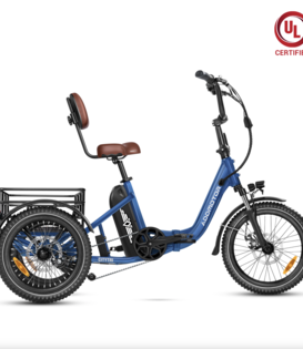 ADDMOTOR - CITYTRI E310 E-TRIKE