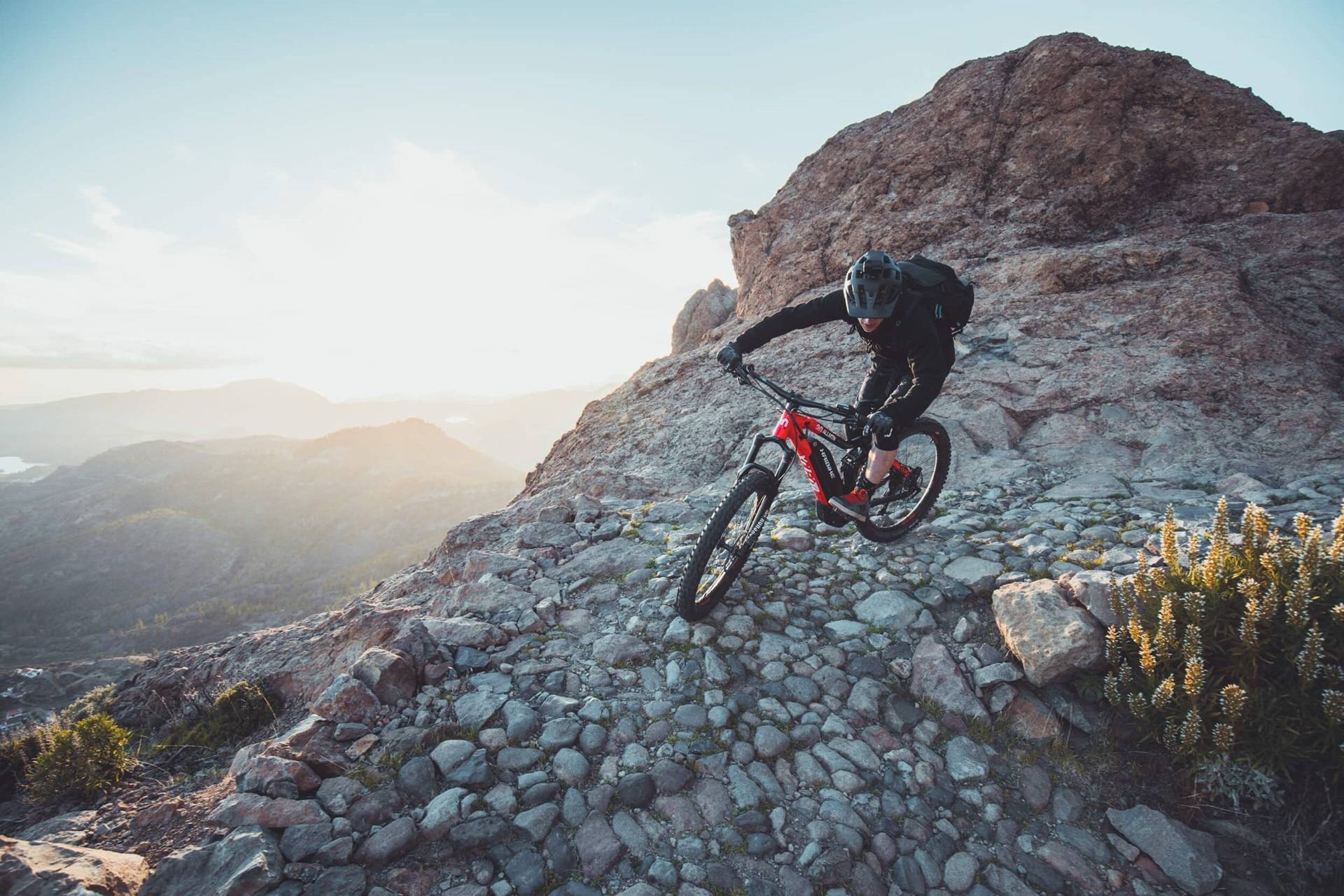Rent an E-Bike