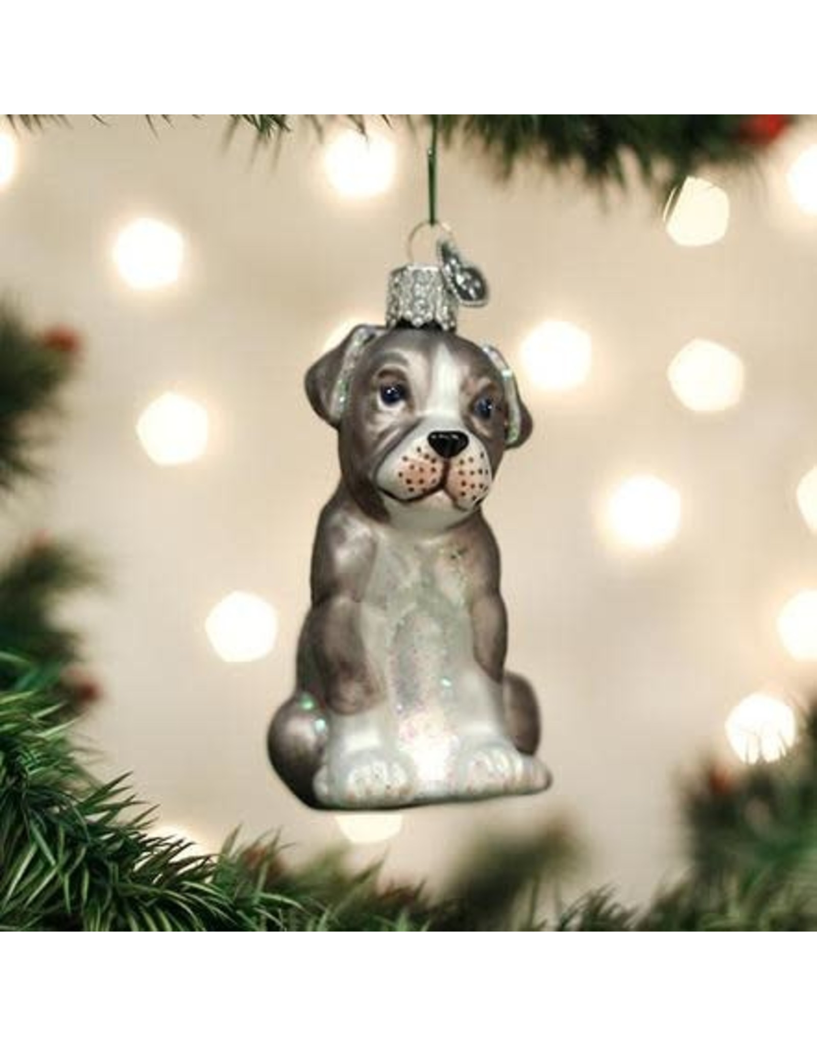 OLD WORLD CHRISTMAS 12570   PITBULL PUP