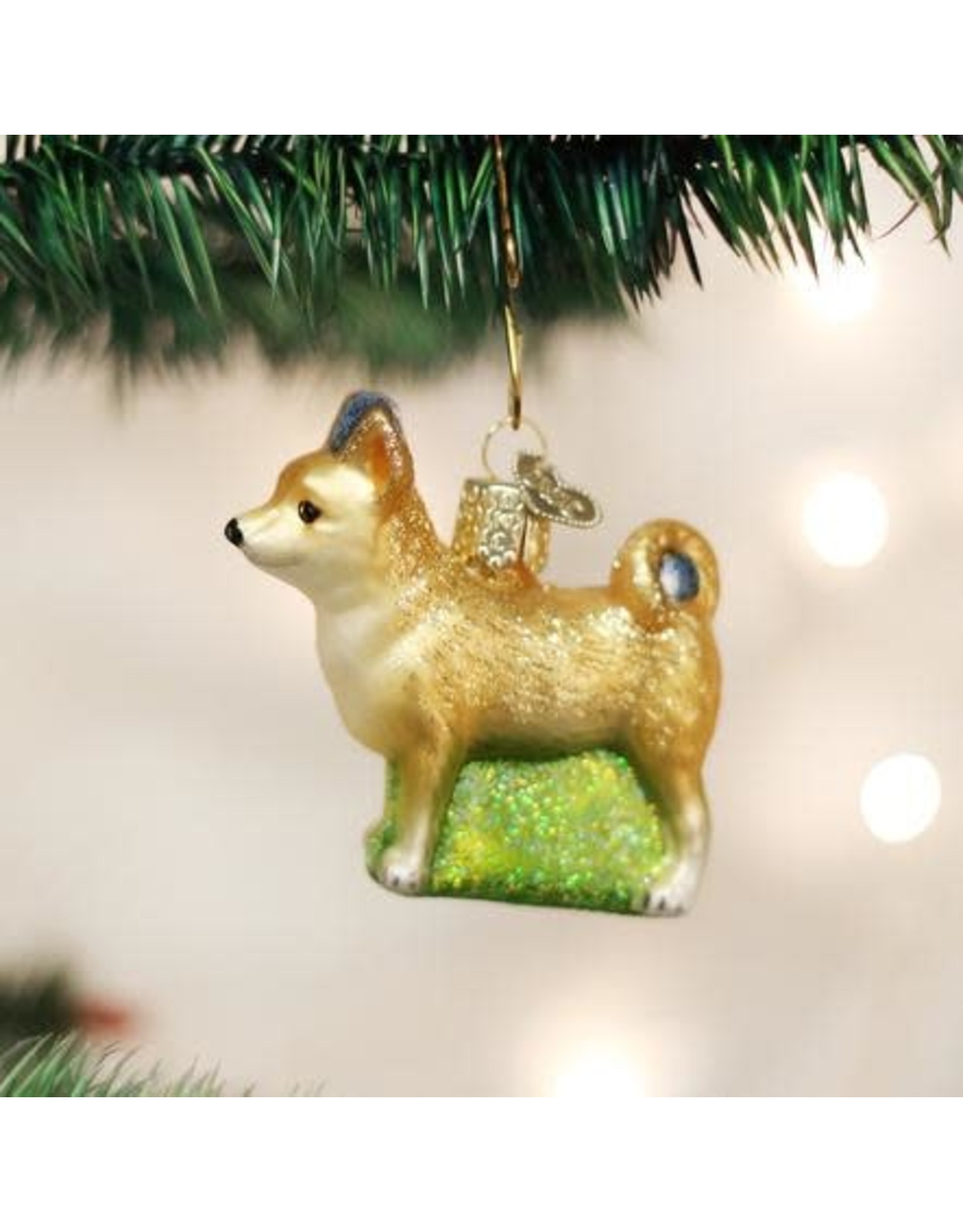 OLD WORLD CHRISTMAS 12281   CHIHUAHUA