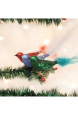 OLD WORLD CHRISTMAS 18011   BRILLIANT SONGBIRD ASST