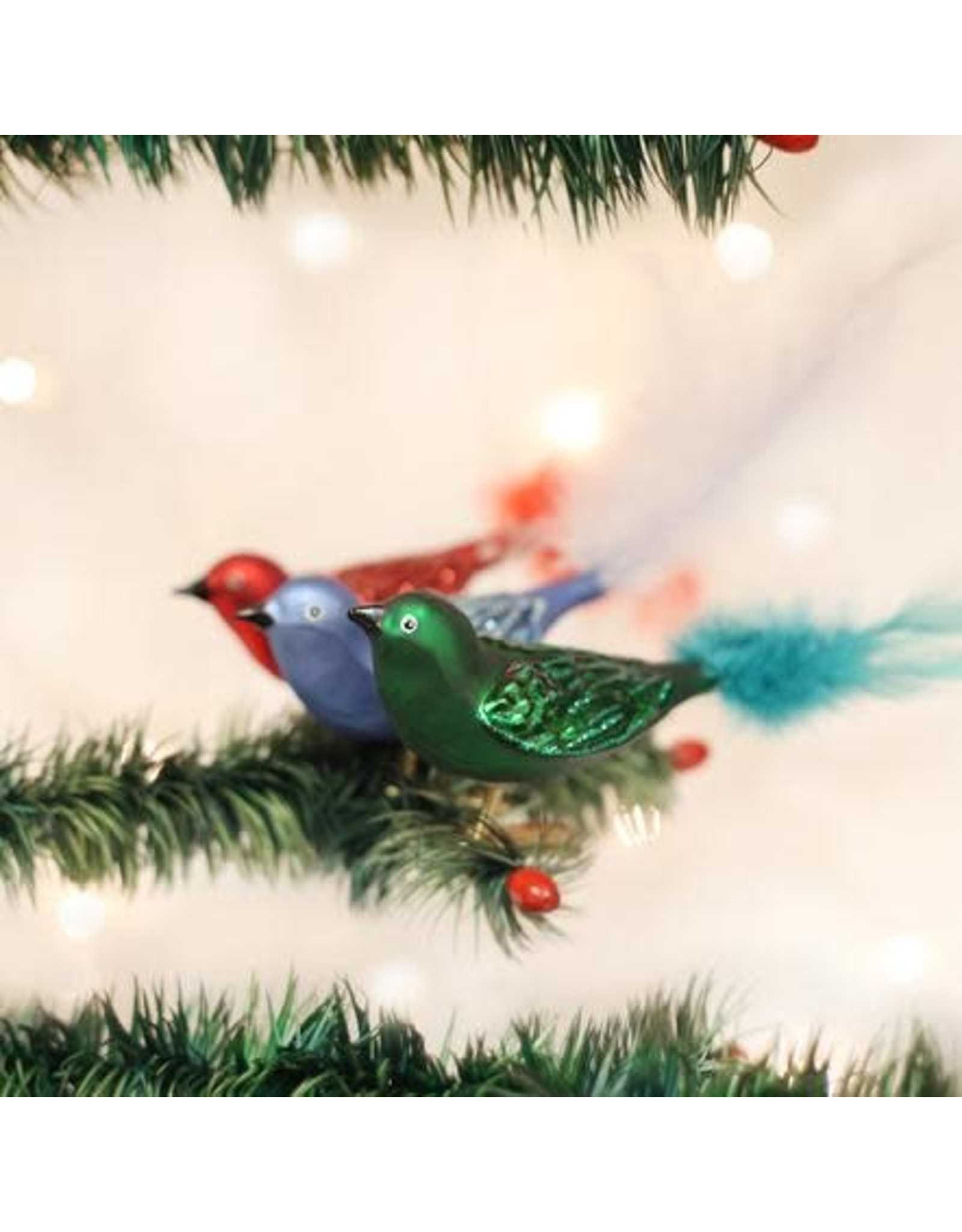 OLD WORLD CHRISTMAS 18011   BRILLIANT SONGBIRD ASST