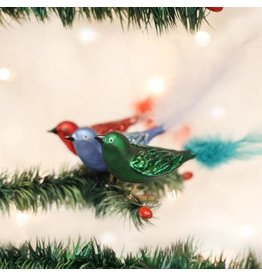 OLD WORLD CHRISTMAS 18011   BRILLIANT SONGBIRD ASST