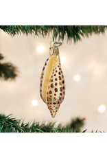 OLD WORLD CHRISTMAS JUNONIA SHELL