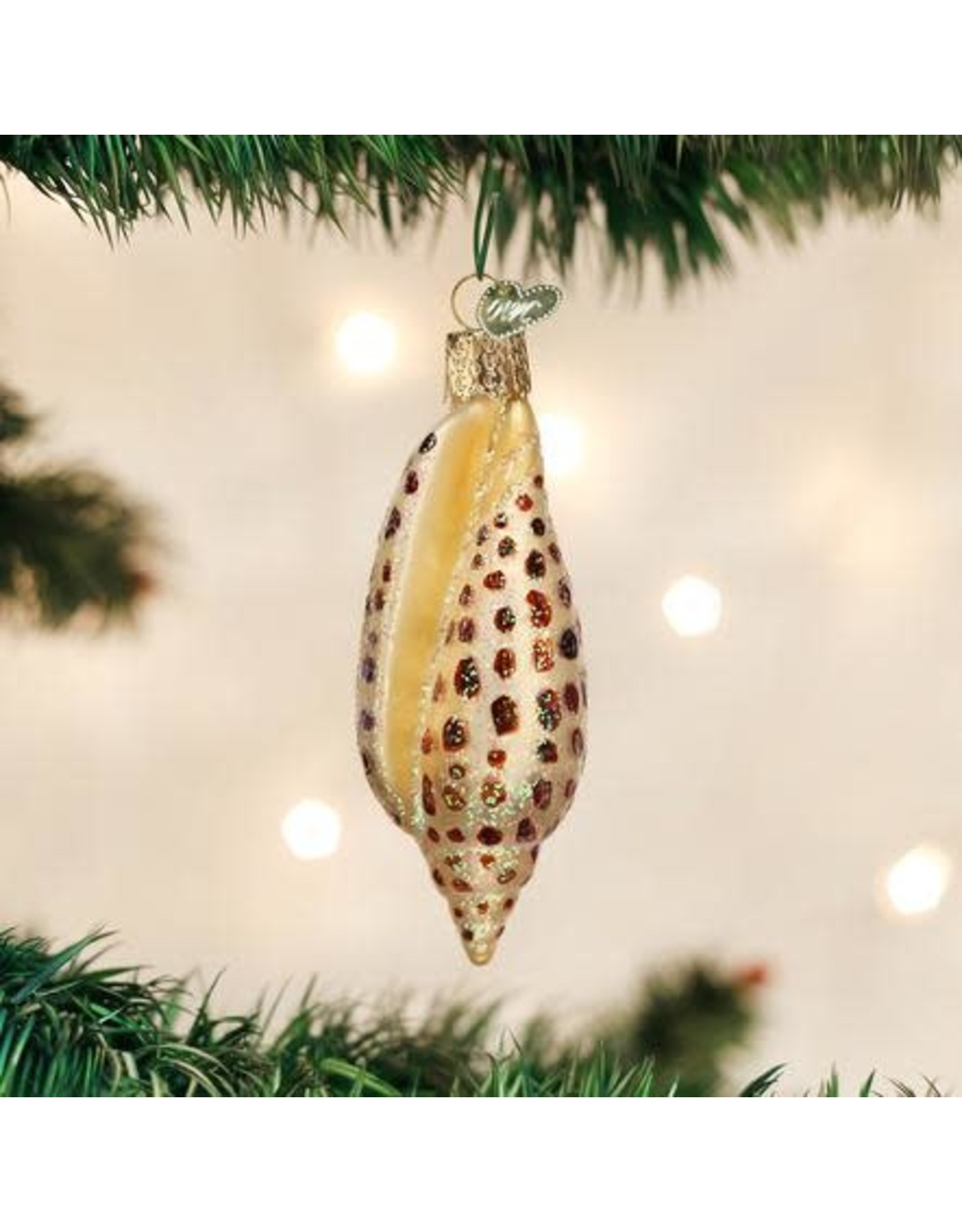 OLD WORLD CHRISTMAS JUNONIA SHELL